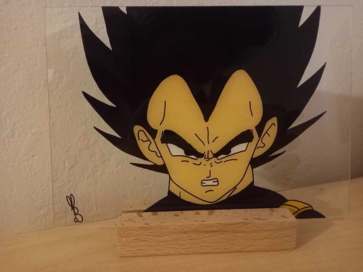 Plexi Vegeta (piece unique)